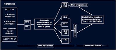 Ethnic Disparities in Endothelial Function and Its Cardiometabolic Correlates: The Pathobiology of Prediabetes in A Biracial Cohort Study